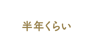 半年くらい
