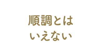 順調とはいえない
