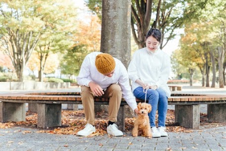 こんにちは！IBJ新宿西口店です✨
10月に入り、街路樹が色づき始め、秋の爽やかな空気を感じる季節になりました。
涼しく過ごしやすいこの時期は、婚活を始めたり、再スタートを切ったりするのにぴったりです🍁
 
🍂秋ならではの婚活チャンス
秋はイベントやお出かけが増える季節です。
・紅葉狩りやお散歩デート：自然の景色を楽しみながら会話も弾みます。
・ハロウィンイベント：仮装や街の雰囲気を活かした、特別なデートにもおすすめ。
・カフェや美術館デート：涼しい気候なら、ゆったりとお互いを知る時間を楽しめます。
 
👗秋らしい服装・プロフィール作り
第一印象を大切にするなら、秋の要素を取り入れましょう。
・服装：ベージュ、ブラウン、カーキなど落ち着いた秋色で柔らかい印象を演出
・アクセサリー：シルバーやゴールドのさりげない華やかさでポイント
・プロフィール写真：公園や紅葉スポットで自然光を活かすと温かみがアップ
ちょっとした季節感を加えるだけで、「話しかけやすそう」「親しみやすい」と思ってもらえるポイントが増えます。
 
💡スタッフおすすめ！10月の秋デートプラン
・神宮外苑のイチョウ並木散策デート
・黄色に染まる並木道で、自然な会話を楽しめます。
・表参道・代官山のカフェ巡りデート
・おしゃれなカフェでゆったりお話。季節のスイーツも楽しめます。
・ハロウィンイベント参加デート
仮装や街の雰囲気で会話が盛り上がるので、距離もぐっと縮まります。
 
🌟秋の婚活を楽しむコツ
婚活は「焦らず、楽しむ」ことが大切です。
・小さな一歩でも未来につながる
・季節のイベントや街の雰囲気を活かして会話のきっかけに
・自分のペースで、安心して出会いを楽しむ
 
秋の澄んだ空気や紅葉の景色を楽しみながら、素敵なご縁を見つけましょう✨
 
IBJ新宿西口店では、皆さまの婚活を全力でサポートします。
まずはお気軽にカウンセリングへお越しください💛