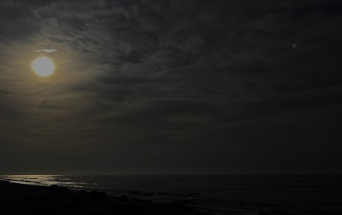 こんにちは、結婚相談所IBJメンバーズ名古屋店です！ 
 
10月6日は『中秋の名月』です🐰🌕
そして翌日7日は満月😊
季節も秋めいてきて、、、、とは言いにくい今年ですが、イベントは大いに楽しまなくては（笑）

 今回は『満月🌕』のお話です（シリーズ化） 
 
満月には月ごとのそれぞれ名前がつけられています。
10月は「ハンターズムーン」と呼ばれています。

アメリカの先住民たちは、農業・漁業・狩猟などの生活の目安として、季節の移り変わりを満月によって把握していました。
10月が本格的な狩猟を始める時期で、また月が照らす時間が長く獲物を見つけやすいと言ったことにも由来しています。

ハンターズムーンは狩猟の季節であることから「集中・獲得・決断力の象徴」であり、「執着の手放し・チャンスをつかむ勇気」といったパワーがあるそう。

この機会に自分にとって本当に大切なことや、自分にとって必要ではないけれど執着していることがないかを考えてみると、なりたい自分になるための勇気が満ちてくるかもしれませんね。

また「金運」「蓄積」「信用」「所有物」「センス」「満足」「独占欲」がキーワードとされていますので
金運✨をアップさせたい人、財産を増やしたい人、もっと人生に充実感を味わい人はハンターズムーンに願ってみてはいかがでしょうか。


6日には『中秋の名月』で秋の訪れを感じ、翌日7日には、祈りを込めてきれいな満月を楽しんでみてくださいね！

・・・・・・・・・・・・・・・・・・・・・・・・・・・・・・・・・ 
婚活は一人で悩まずに、是非、IBJメンバーズへ 
 
名古屋駅徒歩3分、
結婚相談所IBJメンバーズ 名古屋店スタッフ一同 心よりお待ちしております