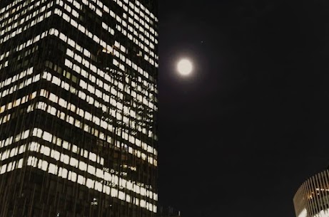 こんにちは、結婚相談所IBJメンバーズ名古屋店です！ 

12月も中旬になり、日に日に寒さが増してきましたね。
寒い季節になると、空気が澄んで夜空の星や月がとてもきれいに見えます⭐🌕

12月の満月は「コールドムーン（寒月）」と呼ばれ、12月5日でした。
今年2番目に大きいスーパームーンで、とてもきれいでしたよ。

毎月やってくる満月ですが、見上げるだけでなく
自分が持っている天然石のブレスレットやネックレスなどのアクセサリーを浄化してみてください。

満月は石にエネルギーを入れる「パワーチャージ」のお清めと言われます。

お手持ちの天然石💎をお皿などに乗せて、月の光が差し込むベランダや窓際に置くだけでお清め(パワーチャージ)ができます。
時間は1時間ほど。もちろん一晩中でもOK、その代わり朝日が出る前にしまってくださいね。

パワーチャージして新しいエネルギーを取り込みましょう😊

・・・・・・・・・・・・・・・・・・・・・・・・・・・・・・・・・ 
婚活は一人で悩まずに、是非、IBJメンバーズへ 
 
名古屋駅徒歩3分、
結婚相談所IBJメンバーズ 名古屋店スタッフ一同 心よりお待ちしております