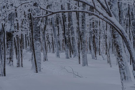 婚活がうまくいかない男性に共通する「思考のズレ」

婚活のご相談に来られる男性から、
よく聞く言葉があります。

「条件は悪くないはずなのに、なぜかうまくいかない」
「お見合いは成立するが、交際に進まない」
「理由が分からないまま終了してしまう」

このようなケースでは、
スペックや努力不足ではなく、戦略のズレが原因であることがほとんどです。

婚活は感覚ではなく、
「選ばれる市場でどう振る舞うか」という視点で考える必要があります。

婚活が停滞しやすい3つの要因
① 婚活を「条件勝負」だと考えている

年収・学歴・年齢・身長など、
男性が意識しやすい要素は確かに重要です。

ただし、結婚相談所に登録している女性は、
すでに「一定の条件を満たした男性」に慣れています。

その中で選ばれるかどうかは、
一緒に生活するイメージが持てるかどうかです。

論理的に言えば、
条件は「スタートライン」であり、
成婚を決める要因ではありません。

② 相手目線での自己評価ができていない

男性は「自分はどう見られているか」を
客観的に把握する機会が少ない傾向があります。

・話が論理的すぎて感情が伝わらない
・正論が多く、共感が少ない
・無意識に上から目線になっている

本人に悪意はなくても、
相手に「一緒にいて疲れそう」と感じさせてしまうことがあります。

これは能力の問題ではなく、
コミュニケーション設計の問題です。

③ 振り返りをせず、同じ行動を繰り返している

うまくいかなかった際に、
「縁がなかっただけ」と処理してしまうと、
改善点が見えないまま次に進むことになります。

結果として、
同じパターンで交際終了を繰り返してしまいます。

婚活はPDCAが重要です。
振り返りのない活動は、成果が出にくくなります。

結婚相談所で成果が出やすくなる理由

結婚相談所の強みは、
客観的なフィードバックが得られることです。

・相手から見た印象
・交際が進まなかった理由
・改善すべきポイント
・次に取るべき行動

これらを感情論ではなく、
事実ベースで整理していきます。

そのため、
「何を変えればいいのか分からない」という状態から
抜け出しやすくなります。

実際に、
「言われたことを意識しただけで、交際が安定した」
「考え方を少し変えたら成婚まで一気に進んだ」
という男性は少なくありません。

婚活は「能力」ではなく「設計」で決まる

婚活がうまくいくかどうかは、
性格や才能の問題ではありません。

・自分の立ち位置を正しく把握する
・相手目線で行動を調整する
・改善を繰り返す

このプロセスを踏めるかどうかです。

仕事では当たり前にやっていることを、
婚活でも実行できるか。
それだけで結果は大きく変わります。

もし今、
「このまま続けても同じ結果になりそうだ」
と感じているなら、
一度立ち止まって戦略を見直すタイミングかもしれません。

結婚相談所は、
感情論ではなく、成果に向けて合理的に進める場所です。

あなたの婚活を、
「なんとなく」から「結果が出る活動」へ。
そのサポートができれば幸いです。

無料カウンセリングはこちらから