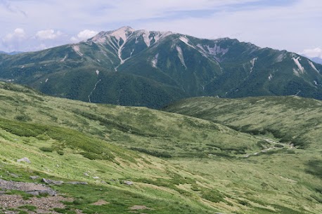 婚活がうまくいかないのは、あなたの魅力が足りないからではありません

「頑張っているのに、なぜか婚活がうまくいかない」
「出会いはあるのに、関係が続かない」
結婚相談所にご相談に来られる方から、よく聞くお悩みです。

でも最初にお伝えしたいのは、婚活がうまくいかない＝あなたに魅力がない、ということでは決してないということ。
実は多くの場合、原因はもっと別のところにあります。

婚活が停滞する3つの理由

① 「選ばれる側」になりすぎている
無意識のうちに「どう思われるか」「断られたらどうしよう」と相手基準で考えてしまう方は少なくありません。
でも、結婚はオーディションではなく“対等なパートナー探し”。
自分がどうしたいか、どんな結婚生活を送りたいかが見えないと、ご縁はつながりにくくなります。

② 理想が高いのではなく、理想がぼんやりしている
「優しい人がいい」「価値観が合う人がいい」
これ自体は間違いではありませんが、実はとても抽象的。
その結果、会っても判断ができず、疲れてしまう原因になります。

③ 一人で考えすぎてしまう
婚活は、想像以上に感情が揺れます。
嬉しい、落ち込む、迷う…そのたびに一人で抱え込んでしまうと、心が疲れてしまいます。

結婚相談所が“うまくいく人”を増やせる理由

結婚相談所の大きな役割は、ただ出会いを提供することではありません。
あなた自身が、自分の幸せの軸に気づくサポートをすることです。

・どんな結婚生活を望んでいるのか
・譲れない価値観は何か
・逆に、柔軟になれる部分はどこか

これを一緒に整理することで、出会いの質が大きく変わります。

また、交際中の迷いや不安をその都度相談できる環境があることで、「よく分からないまま終わる恋」を減らすことができます。

婚活は「頑張る」より「整える」

婚活というと、「もっと努力しなきゃ」「もっと頑張らなきゃ」と思いがちですが、本当に大切なのは整えることです。

・考え方
・選び方
・向き合い方

ここが整うと、不思議とご縁は動き出します。

最後に

結婚は、誰かに評価されて勝ち取るものではありません。
「この人と一緒に生きていきたい」と、自然に思える相手と出会うこと。

もし今、婚活に疲れていたり、迷いがあるなら、あなたのやり方が間違っているのではなく、一人で抱えるには少し重たいだけかもしれません。

結婚相談所は、あなたの人生に本気で向き合う場所。
無理に急がず、でも諦めずに。
一緒に、あなたらしい幸せの形を見つけていきましょう。