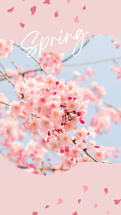 こんにちは。IBJメンバーズ神戸店です⚓

「婚活を始めるタイミングが分からない」
そんな相談をよくいただきます。

実は、婚活には動きやすい時期があります。
その中でも特におすすめなのが、春のタイミングです。

今回は、なぜ春に婚活を始めると良いのかについてお話します。

1. 春は「新しいことを始める人」が多い
3月〜4月は、進学や就職、転勤など生活の変化が多い季節です。
その影響で「新しいことを始めよう」と考える人が増えます。
つまり、
出会いを求めている人が増えるタイミングとも言えます。

2. 春は出会いのチャンスが増える

春はイベントや外出の機会も多くなります。
例えば花見、新年度の交流、食事やお出かけの機会

寒い冬に比べて、人が動きやすい季節です。

3. 今始めると夏までに交際に進みやすい
婚活は、始めてすぐに結果が出るものではありません。
一般的には

1〜2ヶ月 → 出会い
2〜3ヶ月 → 交際

という流れが多いです。
そのため、春に婚活を始めると夏にはパートナーがいる可能性も十分あります。

4. 婚活は「早く始めた人」が有利
婚活でよく言われるのが「1日でも早く始めた人が有利」ということです。

・出会いの数が増える
・経験値が増える
・自分に合う人が分かる
とメリットはたくさんあります。

「もう少し落ち着いたら…」
と思っているうちに、時間はあっという間に過ぎてしまいます。

「そろそろ婚活を始めないといけないかな・・・」と悩まれている方は
まずは無料カウンセリングで、あなたの婚活の可能性を確かめてみてください。


IBJメンバーズ神戸店では、無料カウンセリングを随時受付中です。

三宮近郊だけでなく、
明石・加古川・姫路方面からも多くの方にお越しいただいております。
四国・中国地方の方も、オンラインでのご相談が可能です。

まずは、あなたの想いをお聞かせください。
一緒に、理想の未来への一歩を踏み出しましょう。


ご来店をお待ちしております！