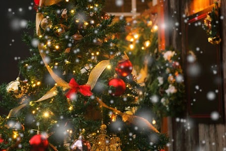 こんにちは☆彡
博多駅から徒歩2分、
結婚相談所IBJメンバーズ福岡店です🎄

本日は【見た目のブラッシュアップ効果】についてです。

人の見た目はほぼ10割⁉
とくに婚活で異性と選ぶときって、ついつい見た目重視になりませんか。
どんなスタイルのお出会いでも、ご縁があれば好意を持って交際したいし、そのための要素として見た目って大事ですよね。

ただ、どんなに素晴らしい経歴でも、お人柄がどんなに優しい方でも実際に会うまでは、まず見た目（写真）ではじかれてしまうのが婚活です(T_T)

ここでいう見た目というのは、モデルのような美形というより、年相応のファッションやメイク、親しみやすい笑顔や清潔感のある身だしなみのことになります。

昨年と今年の『おうち時間』に見た目のブラッシュアップ励まれた会員様の一例として。。。
・毎日腕立てと腹筋
・1週間の脂肪燃焼スープ
・晩御飯の1食置き換え（野菜ジュース）とウォーキング
・オンラインでのメイクレッスン
・歯列矯正
・美容プチ整形
・自撮り技術の研究
など。

それぞれの期間、それぞれのペースではありましたが、見事にブラッシュアップの効果を発揮され、皆さんよいご縁に恵まれました✨

【見た目のブラッシュアップ効果】として、
・プロフィール写真を刷新し、お出会いの数が増えた
・異性からの優しくされたり、アピールが増えた
・継続してプラッシュアップを意識するようになった
・性格がポジティブになった
などがあったそうです(*^-^*)

いかがでしょうか。
結婚したいという意気込みだけでは、スマホ画面を通じてあなたの魅力は伝わりません！

当店では、ご要望があれば、個別で婚活のプロ目線でのブラッシュアップのアドバイスもさせていただいております！
もちろん外見だけでなく、内面のブラッシュアップも大切ですね＾＾
ご入会後はどちらもお任せくださいませ。

IBJメンバーズ福岡店では
【無料婚活相談】を行っております。

ご来店・オンラインにて
絶賛受付中です！

♡相談所を比較検討されている方是非♡
ーーーーーーーーーーーーーーーーーー
博多駅からすぐ♪博多バスターミナル9階☆彡

♡ご自宅でご契約～お見合いもデートも可♡
結婚相談所 福岡＆婚活のご相談と言えば、
【業界最大級の会員・婚約までサポート】の
結婚相談所ＩＢＪメンバーズ福岡店へご依頼ください＾＾
ーーーーーーーーーーーーーーーーーーー